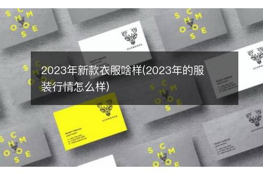 2023年新款衣服啥样(2023年的服装行情怎么样)