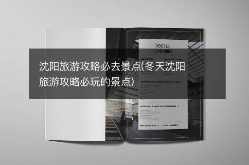 沈阳旅游攻略必去景点(冬天沈阳旅游攻略必玩的景点)