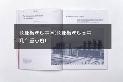 长郡梅溪湖中学(长郡梅溪湖高中几个重点班)