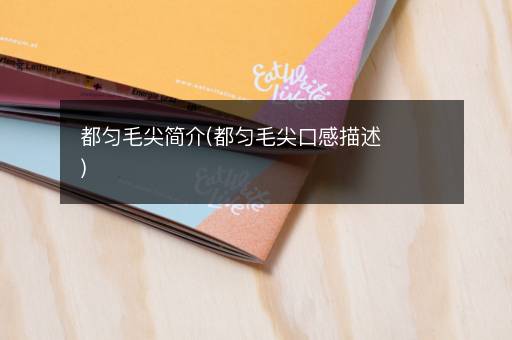 都匀毛尖简介(都匀毛尖口感描述)
