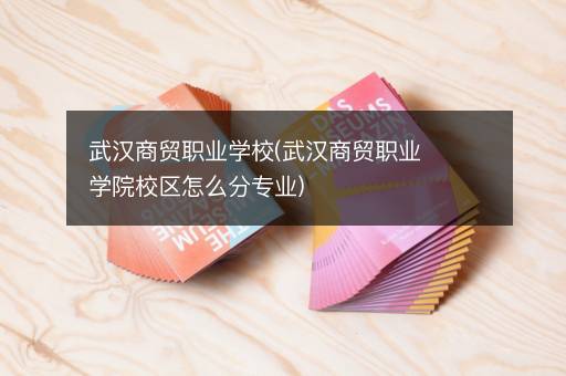 武汉商贸职业学校(武汉商贸职业学院校区怎么分专业)