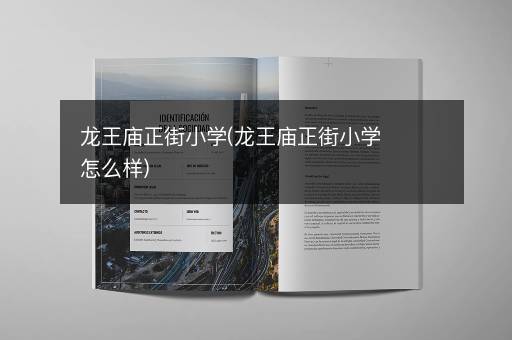 龙王庙正街小学(龙王庙正街小学怎么样)