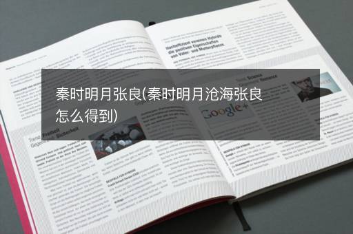 秦时明月张良(秦时明月沧海张良怎么得到)
