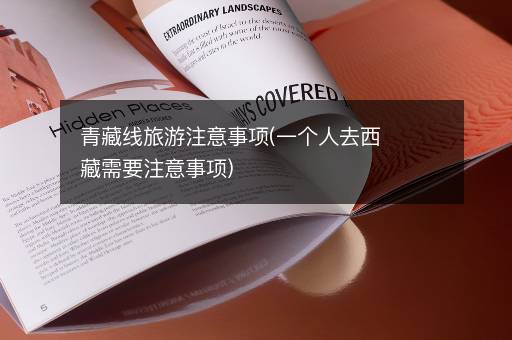 青藏线旅游注意事项(一个人去西藏需要注意事项)