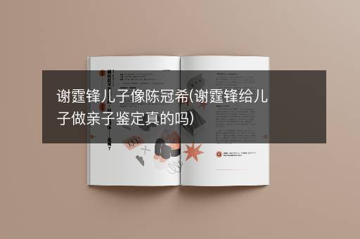 谢霆锋儿子像陈冠希(谢霆锋给儿子做亲子鉴定真的吗)