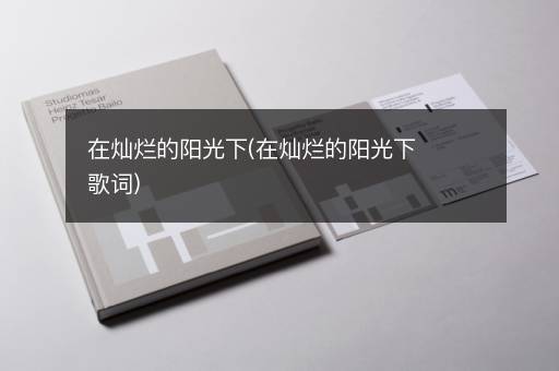 在灿烂的阳光下(在灿烂的阳光下歌词)