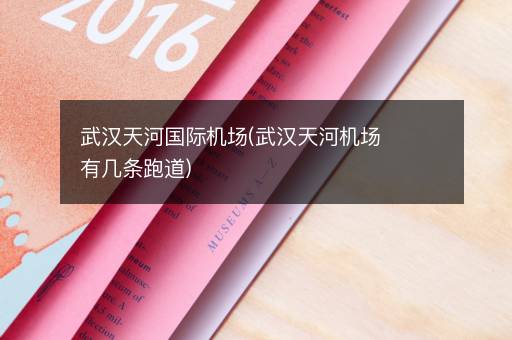 武汉天河国际机场(武汉天河机场有几条跑道)