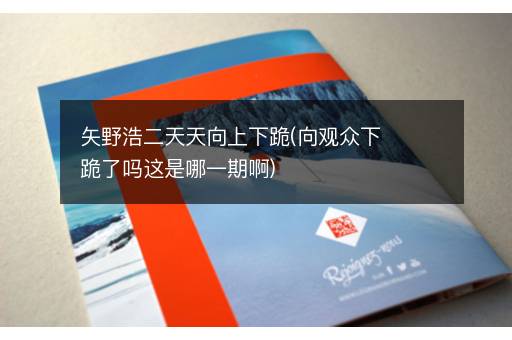 矢野浩二天天向上下跪(向观众下跪了吗这是哪一期啊)