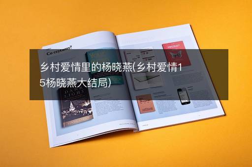 乡村爱情里的杨晓燕(乡村爱情15杨晓燕大结局)