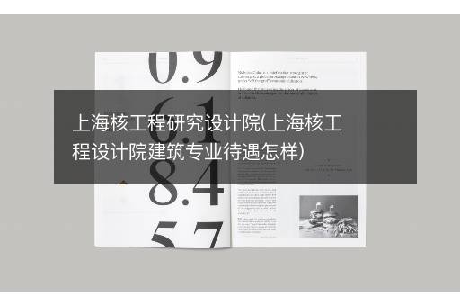 上海核工程研究设计院(上海核工程设计院建筑专业待遇怎样)